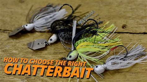 what is chaterbait|How to Choose the Right ChatterBait